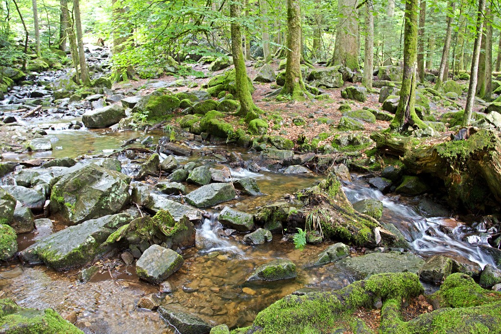vogezen ardennen belgie frankrijk luxenburg luxembourg france belgique hdr natuur natuurgebied gebergte bergen bos bossen